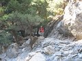 IMG_2154 - Copy